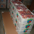 Fresh Red FUJI Apple with 2013 New Crop